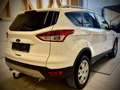 Ford Kuga Trend Weiß - thumbnail 8