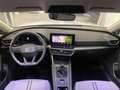 SEAT Leon 2.0 TDI 115 CV 5p. Business White - thumbnail 5