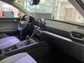 SEAT Leon 2.0 TDI 115 CV 5p. Business Bianco - thumbnail 6