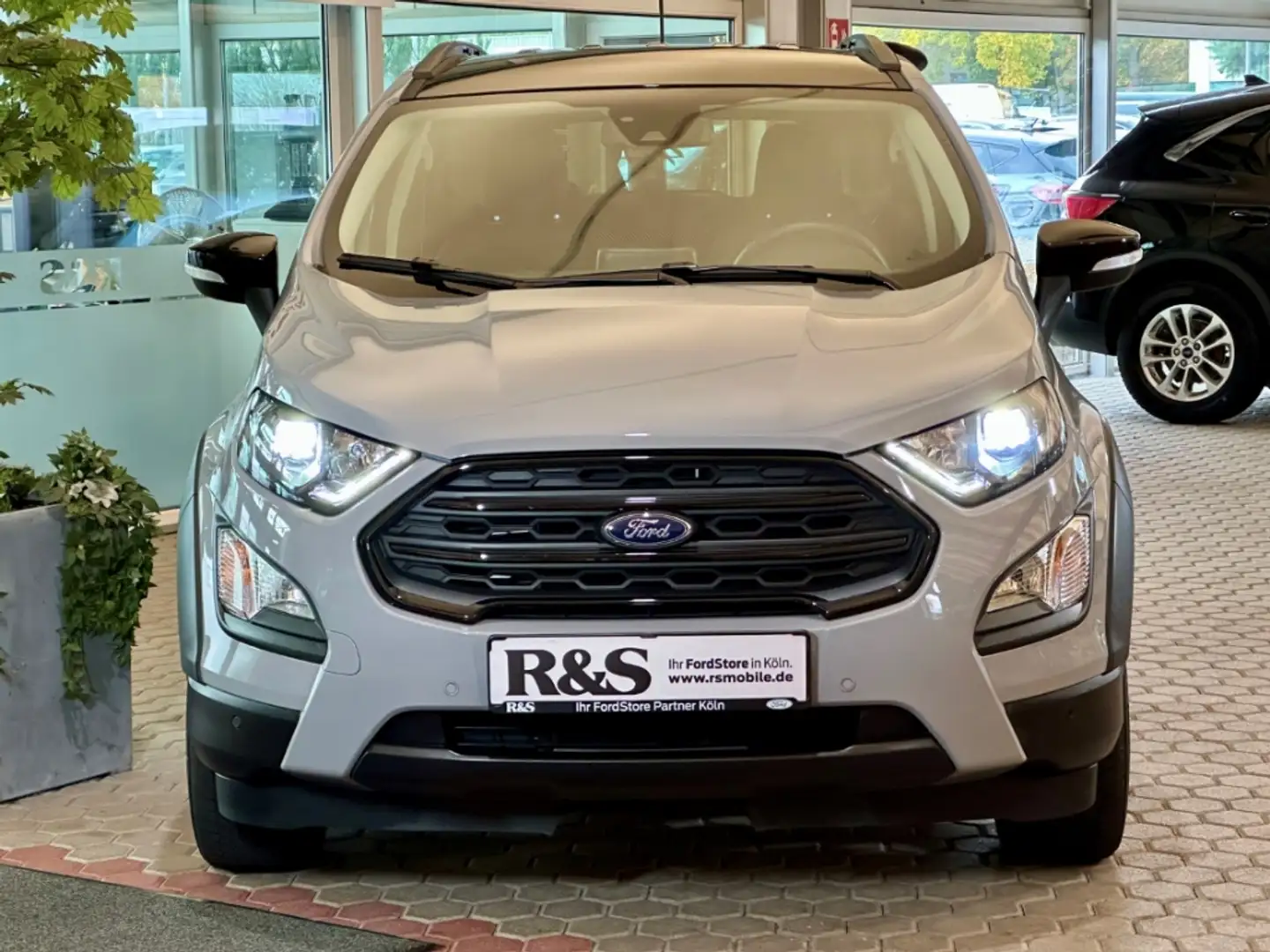 Ford EcoSport Active+Kamera+BLIS+Winter-P.+Tempo Gris - 2