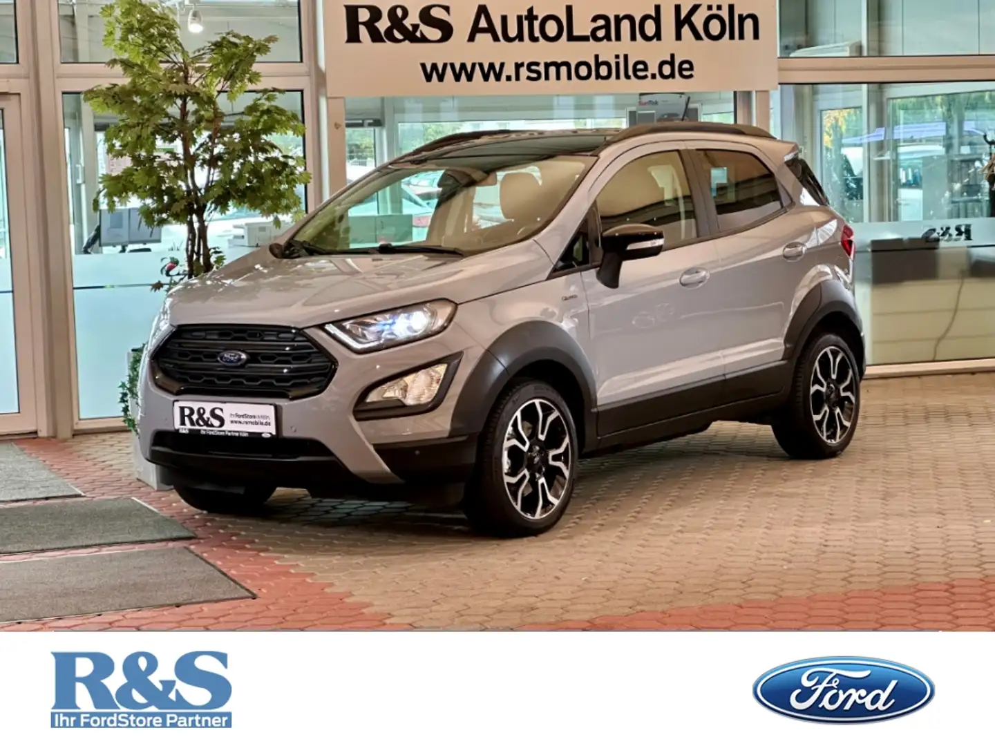Ford EcoSport Active+Kamera+BLIS+Winter-P.+Tempo Gris - 1