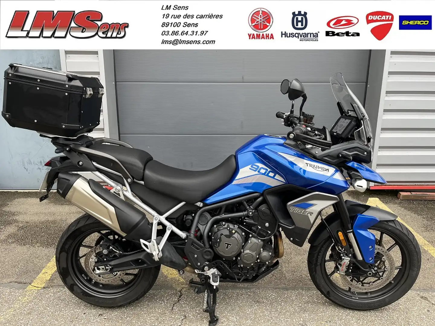 Triumph Tiger 900 Bleu - 1