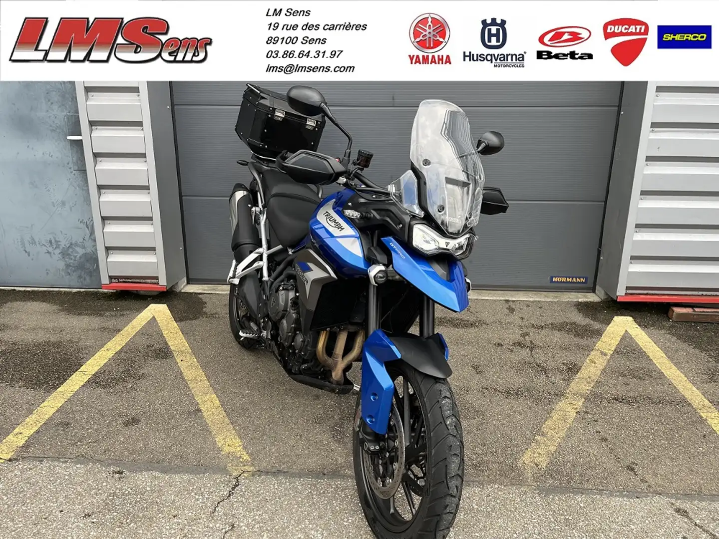 Triumph Tiger 900 Bleu - 2