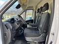 Fiat Ducato e 35 MH1 122cv 47kWh Fiat Ducato 100% elettrico Bianco - thumbnail 10