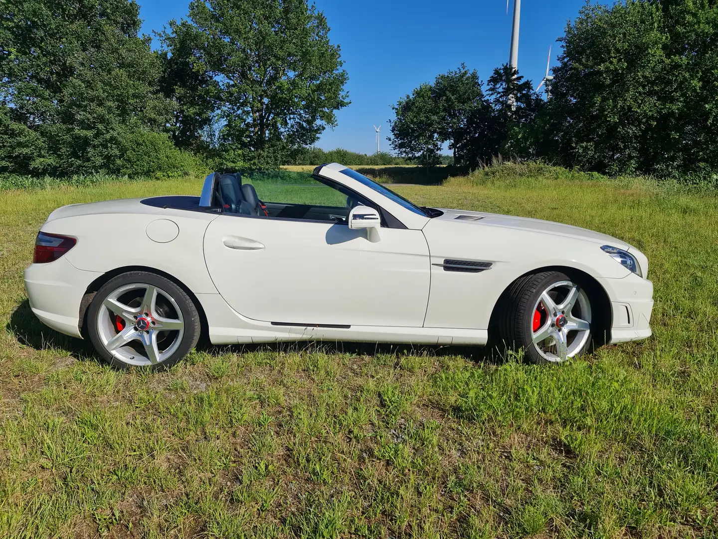 Mercedes-Benz SLK 250 SLK 250 (BlueEFFICIENCY) 7G-TRONIC - 1