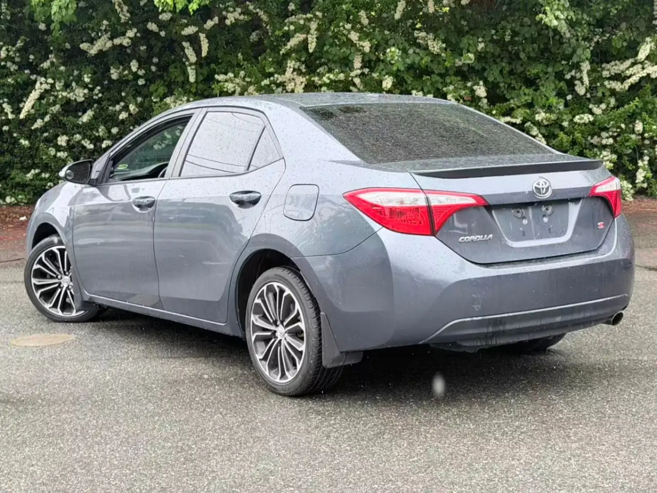 Toyota Corolla снимка Toyota Corolla
