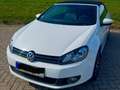 Volkswagen Golf Cabriolet Golf Cabrio 1.2 TSI BlueMotion Technology Weiß - thumbnail 1