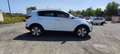 Kia Sportage Sportage 1.7 crdi Cool 2wd FL Bianco - thumbnail 8