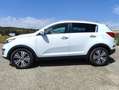 Kia Sportage Sportage 1.7 crdi Cool 2wd FL Bianco - thumbnail 7