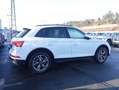 Audi Q5 50 TFSI e Navi,AHK,LED,R-Kamera,SHZ,Tempomat Wit - thumbnail 3