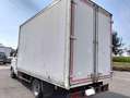 Iveco Daily 35.10 2.8 TD CASSONATO Bianco - thumbnail 3