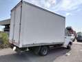Iveco Daily 35.10 2.8 TD CASSONATO Bianco - thumbnail 2