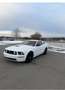 Ford Mustang 4.6 V8 Coupé - thumbnail 1
