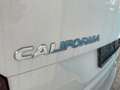 Volkswagen T6 California T6.1 Beach Camper Edition 4M DSG AHK LED ACC Bianco - thumbnail 4