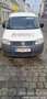 Volkswagen Caddy Kastenwagen TDI White - thumbnail 5