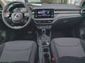 Skoda Fabia 1.0 TSi DSG Selection LED SHZ 2PDC GRA Kam Noir - thumbnail 18