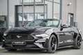 Ford Mustang Cabrio 2.3 EcoBoost Navi* B&O* Premium 4 Noir - thumbnail 32