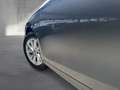 Skoda Octavia Selection TSI Grau - thumbnail 43