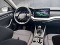 Skoda Octavia Selection TSI Grau - thumbnail 20