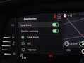 Skoda Octavia Selection TSI Grau - thumbnail 30