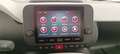 Fiat Panda 1.0 70cv Hybrid Panda Vert - thumbnail 15