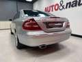 Mercedes-Benz CLK 500 CAT AVANTGARDE - ISCRITTA ASI Argent - thumbnail 25