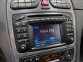 Mercedes-Benz CLK 500 CAT AVANTGARDE - ISCRITTA ASI Argento - thumbnail 12