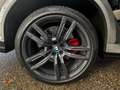 BMW X6 M xDrive Competition Sitzbel. SpoSi H-K Sport-AGA Gris - thumbnail 11