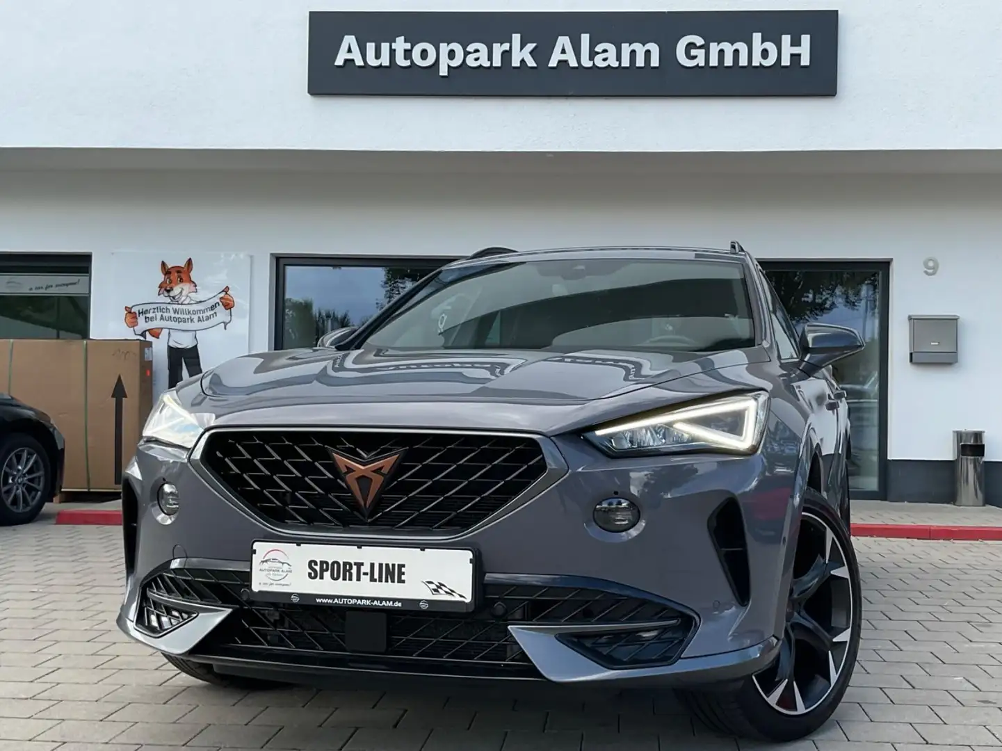 CUPRA Formentor Basis 4Drive 2,0 TDI DSG Lane RFK ViCo Grau - 1