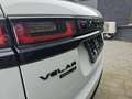 Land Rover Range Rover Velar 3.0 R-Dynamic S 300 CV/PK T-Pano Gps Led Blanc - thumbnail 13