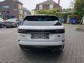 Land Rover Range Rover Velar 3.0 R-Dynamic S 300 CV/PK T-Pano Gps Led Blanc - thumbnail 7