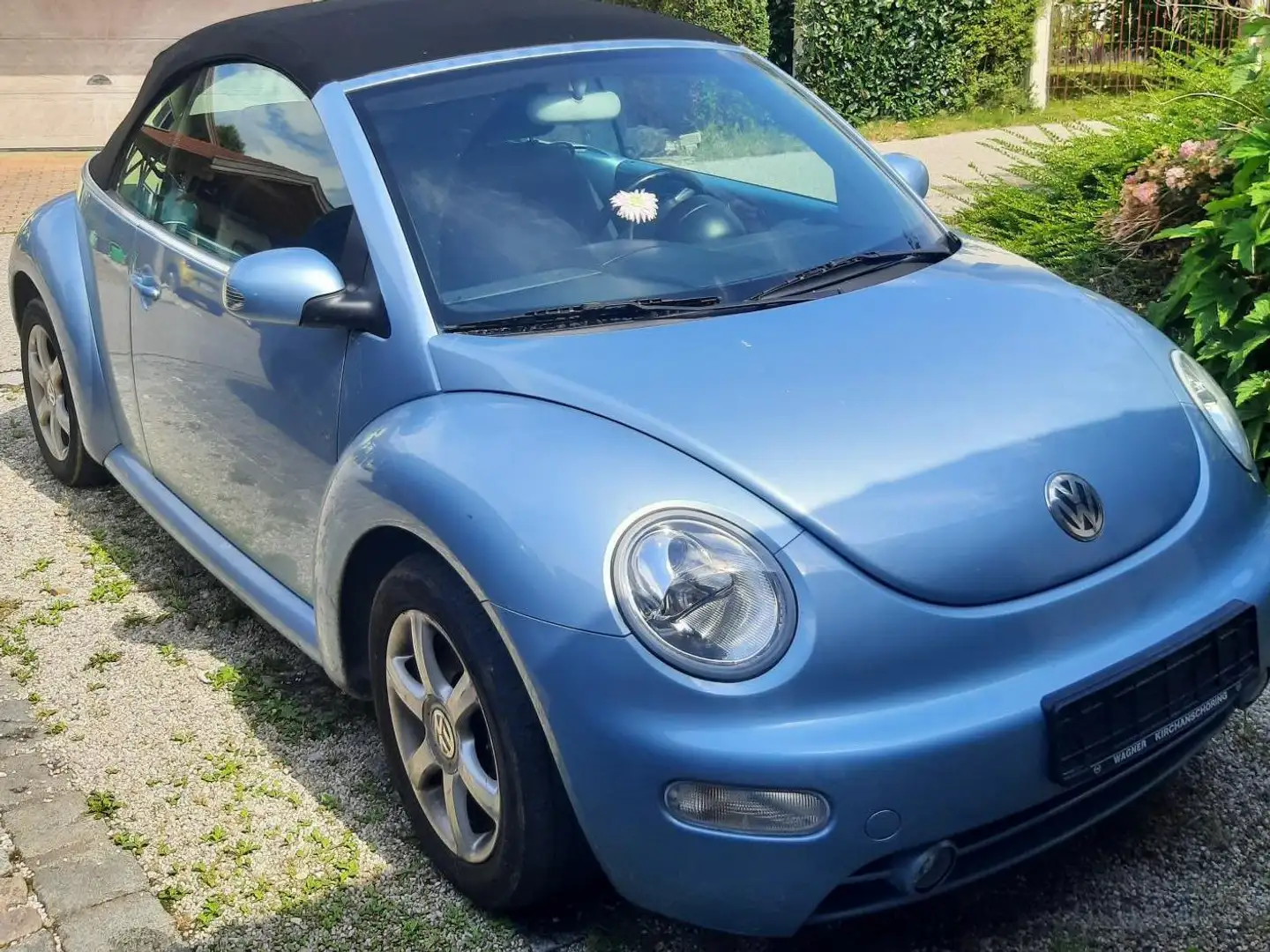 Volkswagen New Beetle New Beetle Cabriolet 1.6 Blau - 2