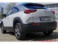 Mazda MX-30 Advantage e-SKYACTIV HUD AD Navi Leder digitales C Wit - thumbnail 3