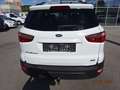 Ford EcoSport Trend Weiß - thumbnail 5