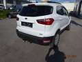 Ford EcoSport Trend Weiß - thumbnail 4