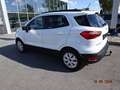 Ford EcoSport Trend Weiß - thumbnail 6
