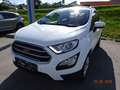 Ford EcoSport Trend Weiß - thumbnail 1