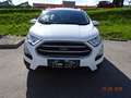 Ford EcoSport Trend Weiß - thumbnail 2