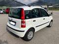 Fiat Panda 1.1 54 CV Actual Bianco - thumbnail 5