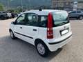 Fiat Panda 1.1 54 CV Actual Bianco - thumbnail 3