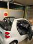 smart forTwo Cabrio 1.0 Passion 84cv - thumbnail 6