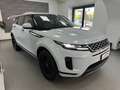 Land Rover Range Rover Evoque 2.0d i4 mhev Business Edition awd 150cv AUTO Bianco - thumbnail 2