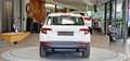 Skoda Karoq 2.0 TDI 4x4 Ambition 1-Hand DSG *17Zoll*PDC*Sitzhe Weiß - thumbnail 8