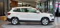 Skoda Karoq 2.0 TDI 4x4 Ambition 1-Hand DSG *17Zoll*PDC*Sitzhe Weiß - thumbnail 5