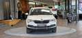 Skoda Karoq 2.0 TDI 4x4 Ambition 1-Hand DSG *17Zoll*PDC*Sitzhe Weiß - thumbnail 2