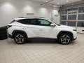 Hyundai TUCSON Tucson 1.6 CRDI Exellence Bianco - thumbnail 6