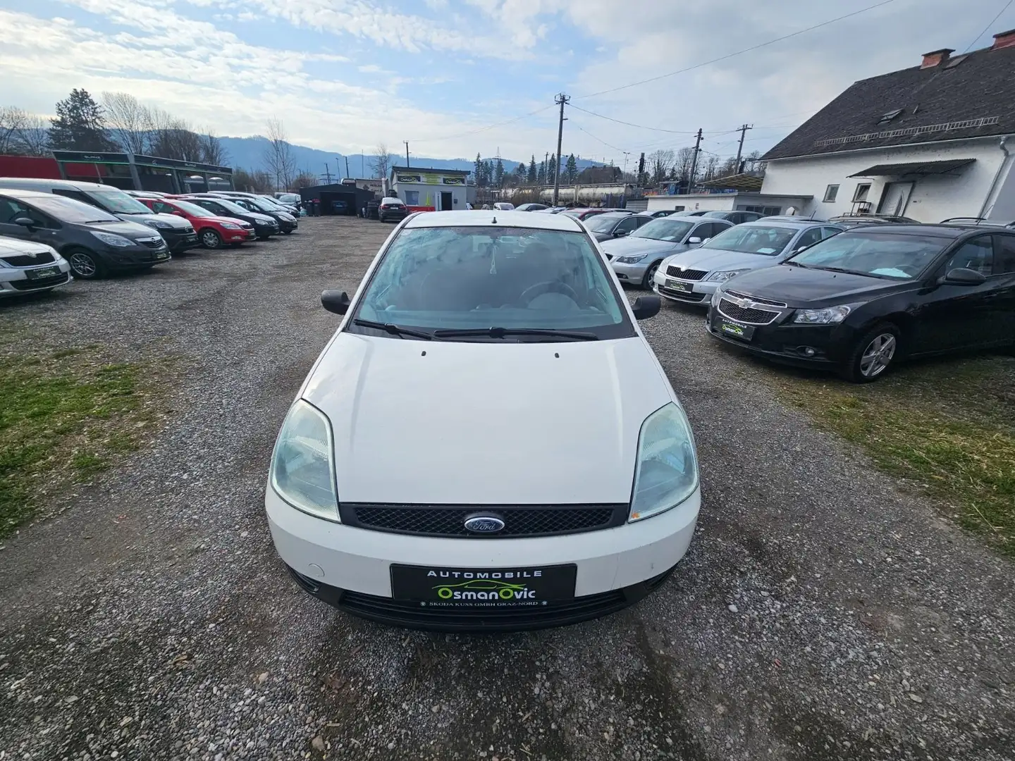 Ford Fiesta Fiesta 1,3 8V Weiß - 2