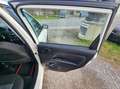 Ford Fiesta Fiesta 1,3 8V Weiß - thumbnail 9