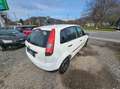 Ford Fiesta Fiesta 1,3 8V Weiß - thumbnail 4