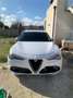 Alfa Romeo Stelvio stelvio veloce executive 2.2 diesel 195cv AT8 Bianco - thumbnail 10